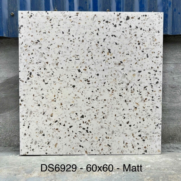 Gạch lát nền Terrazzo nhập khẩu 60*60cm CNS- 6929