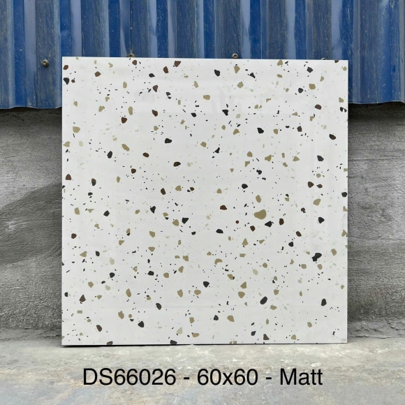 Gạch Lát Nền Terrazzo Nhập Khẩu 60*60cm CNS- DS66026