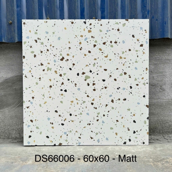 Gạch Lát Nền Terrazzo Nhập Khẩu 60*60cm CNS- DS66006