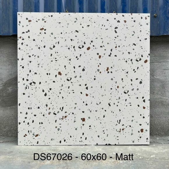 Gạch Lát Nền Terrazzo Nhập Khẩu 60*60cm CNS- DS67026