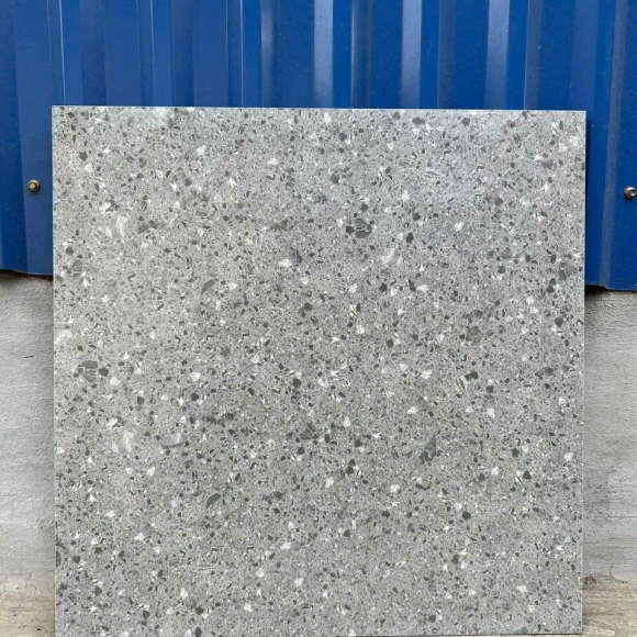 Gạch Lát Nền Terrazzo Nhập Khẩu 60*60cm CNS- DS67058