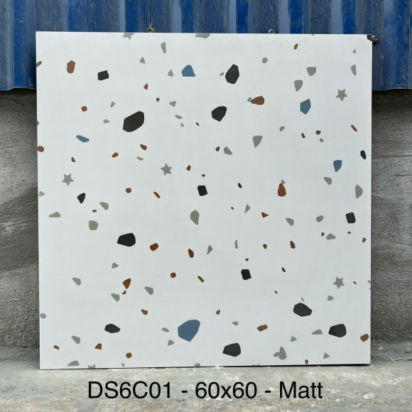 Gạch Lát Nền Terrazzo Nhập Khẩu 60*60cm CNS- DS6C01