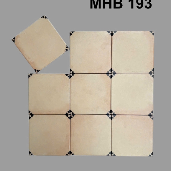 Gạch bông nhập khẩu KT 20*20cm CNS MART- MHB193