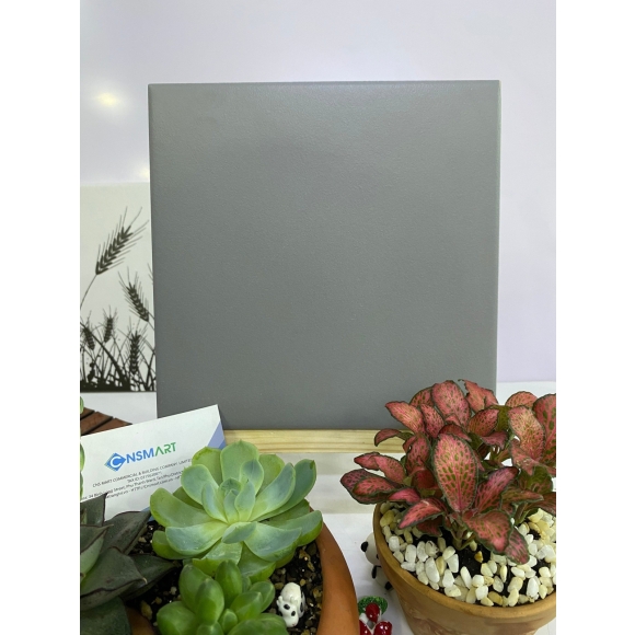 Gạch bông men nhập khẩu xám đậm kích thước 200*200mm