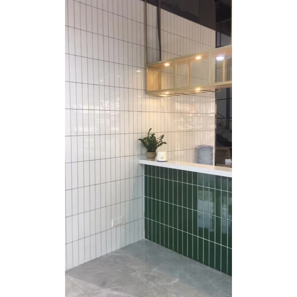 Gạch trang trí cao cấp KT 30*60cm CNS- TD19219