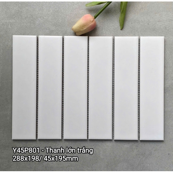 Gạch mosaic que đũa thanh lớn CNS- Y45P801